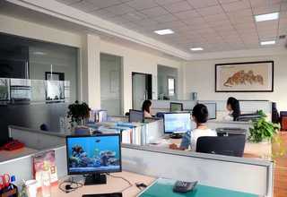 淄博网站建设资阳网站建设